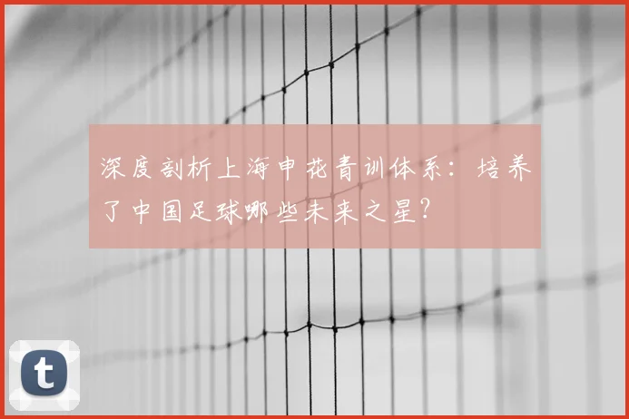 深度剖析上海申花青训体系：培养了中国足球哪些未来之星？