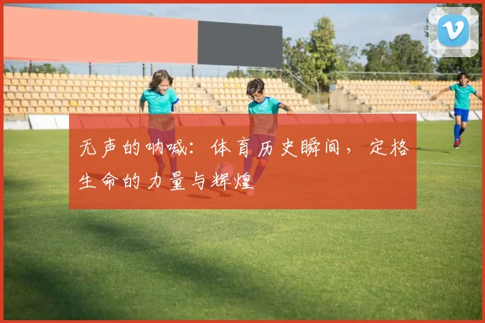 无声的呐喊：体育历史瞬间，定格生命的力量与辉煌