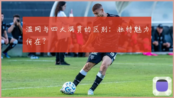 温网与四大满贯的区别：独特魅力何在？