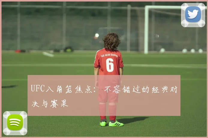 UFC八角笼焦点：不容错过的经典对决与赛果