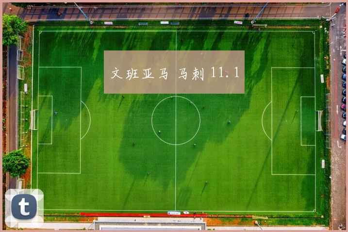 文班亚马 马刺 11.1