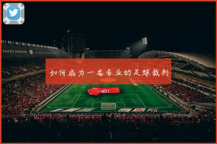 如何成为一名专业的足球裁判