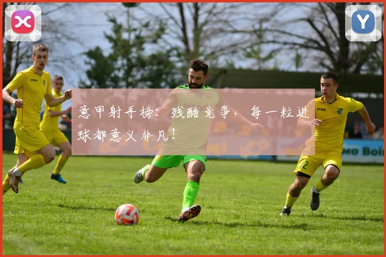 意甲射手榜：残酷竞争，每一粒进球都意义非凡！
