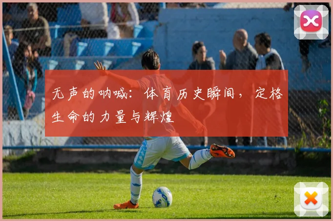 无声的呐喊：体育历史瞬间，定格生命的力量与辉煌